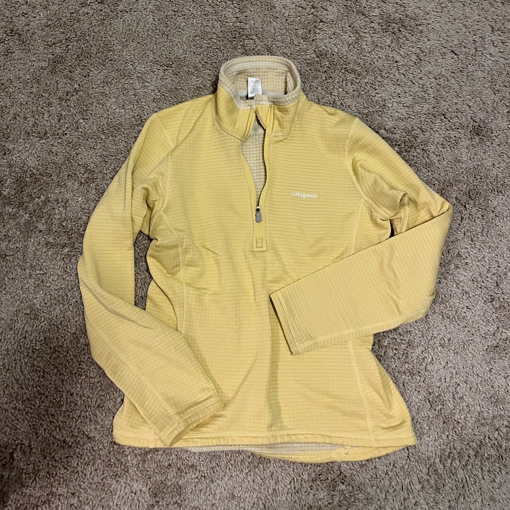 Patagonia Micro-Grid hoodie